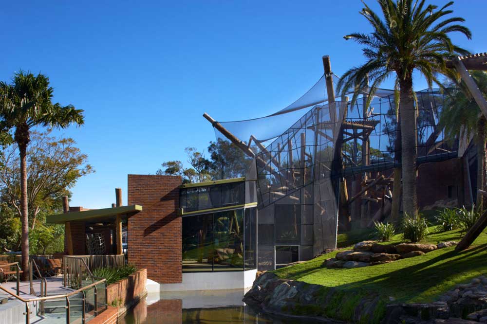 Taronga Zoo Chimpanzee Enclosure (Photo Courtesy of Jackson Teece Architecture 2026)