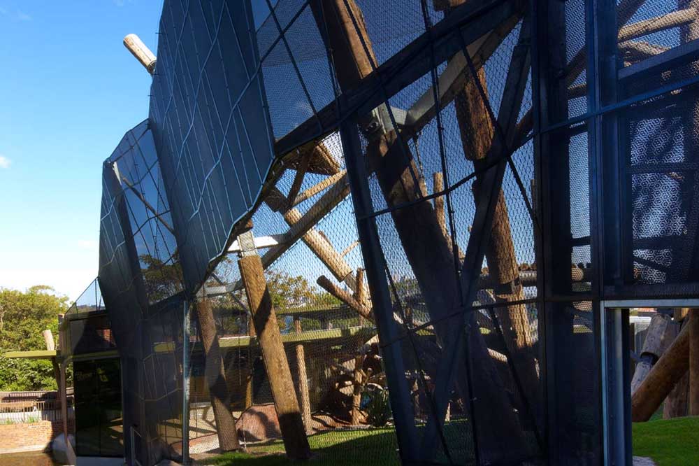The New Separation Enclosure of the Taronga Zoo Chimpanzee Exhibit (Photo Courtesy of Jackson Teece Architecture 2026)