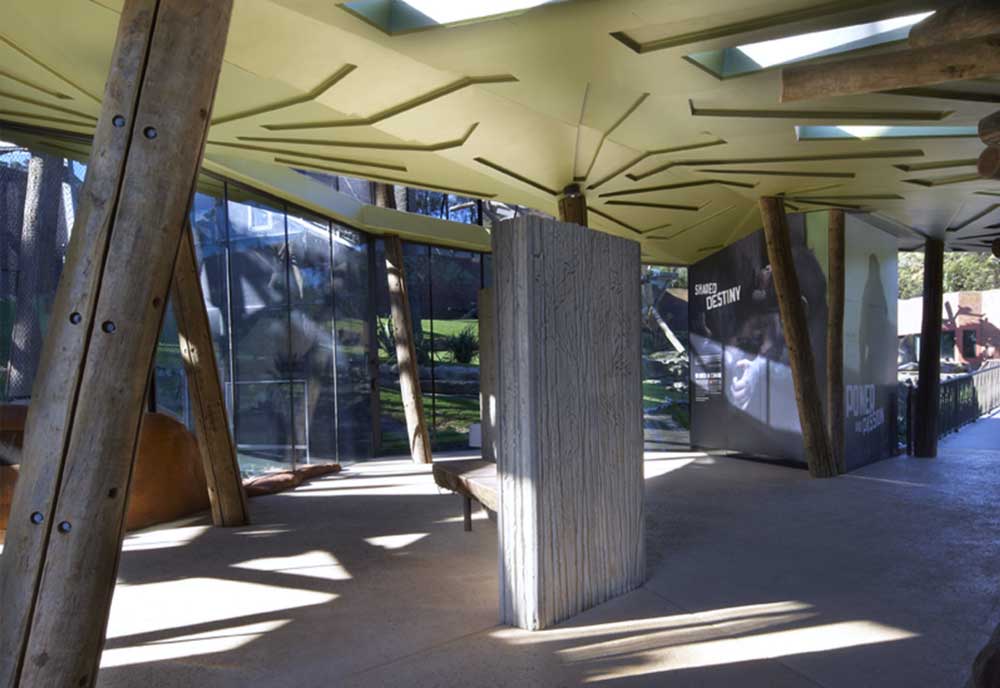 The Design of the Taronga Zoo Chimpanzee Exhibit (Photo Courtesy of Jackson Teece Architecture 2026)