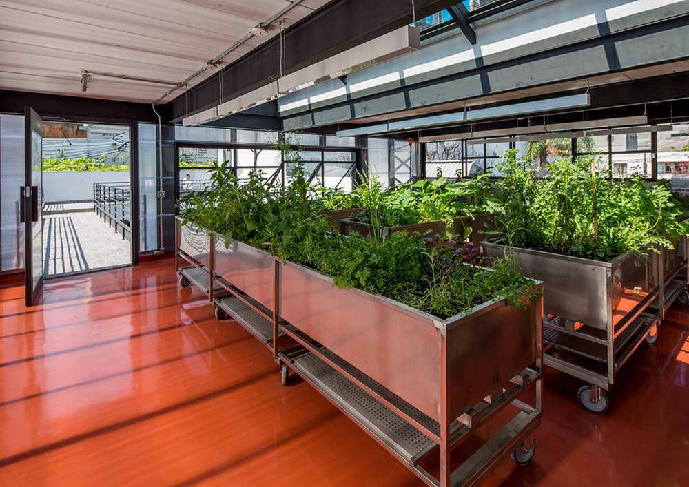 Stainless Steel Applied in the Greenhouse at Restaurant Tuju (Photo Courtesy of SPBR)